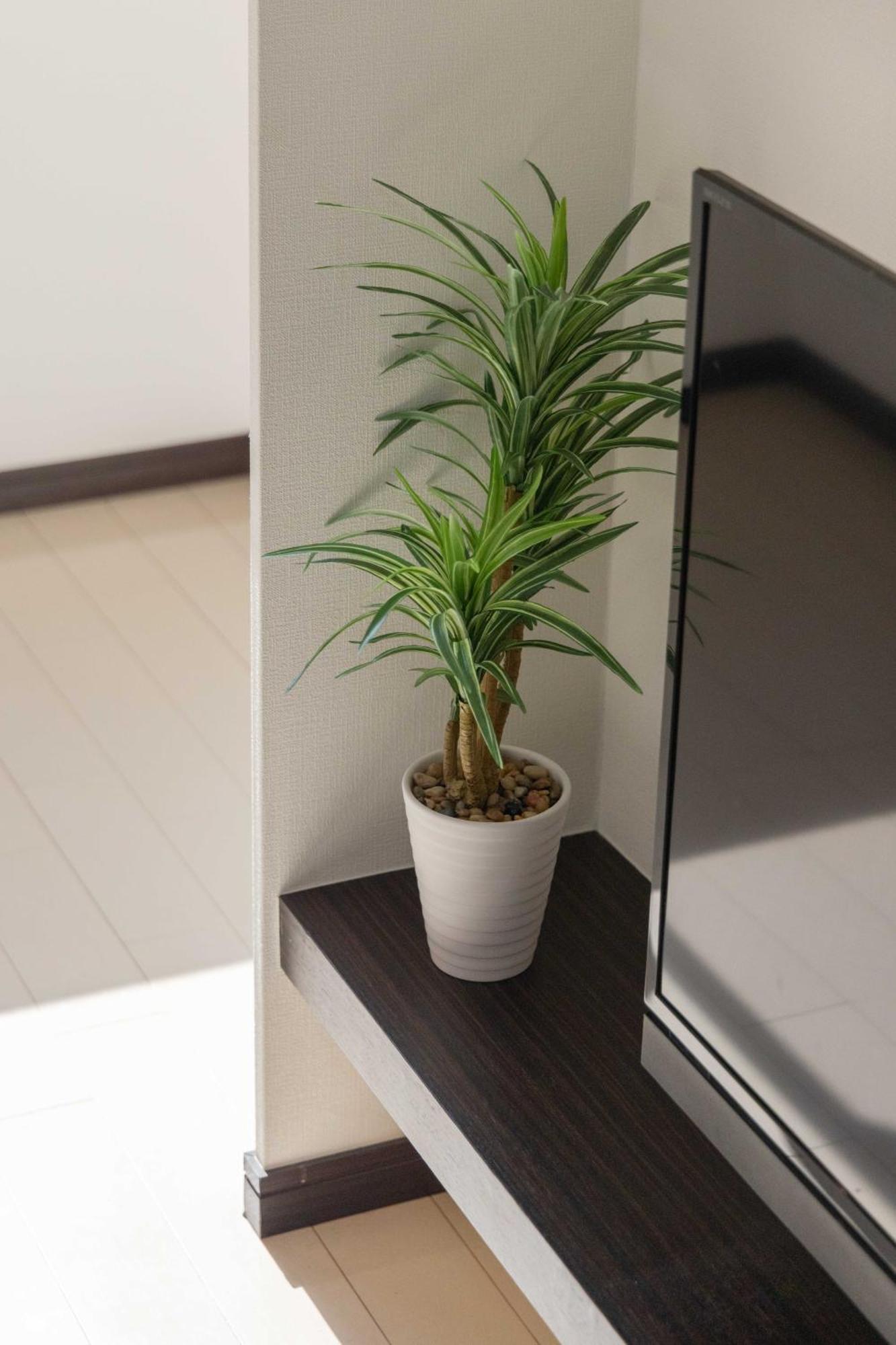 Apartamento Skytree View Kinshicho - Self Check-In Only Tokio Exterior foto