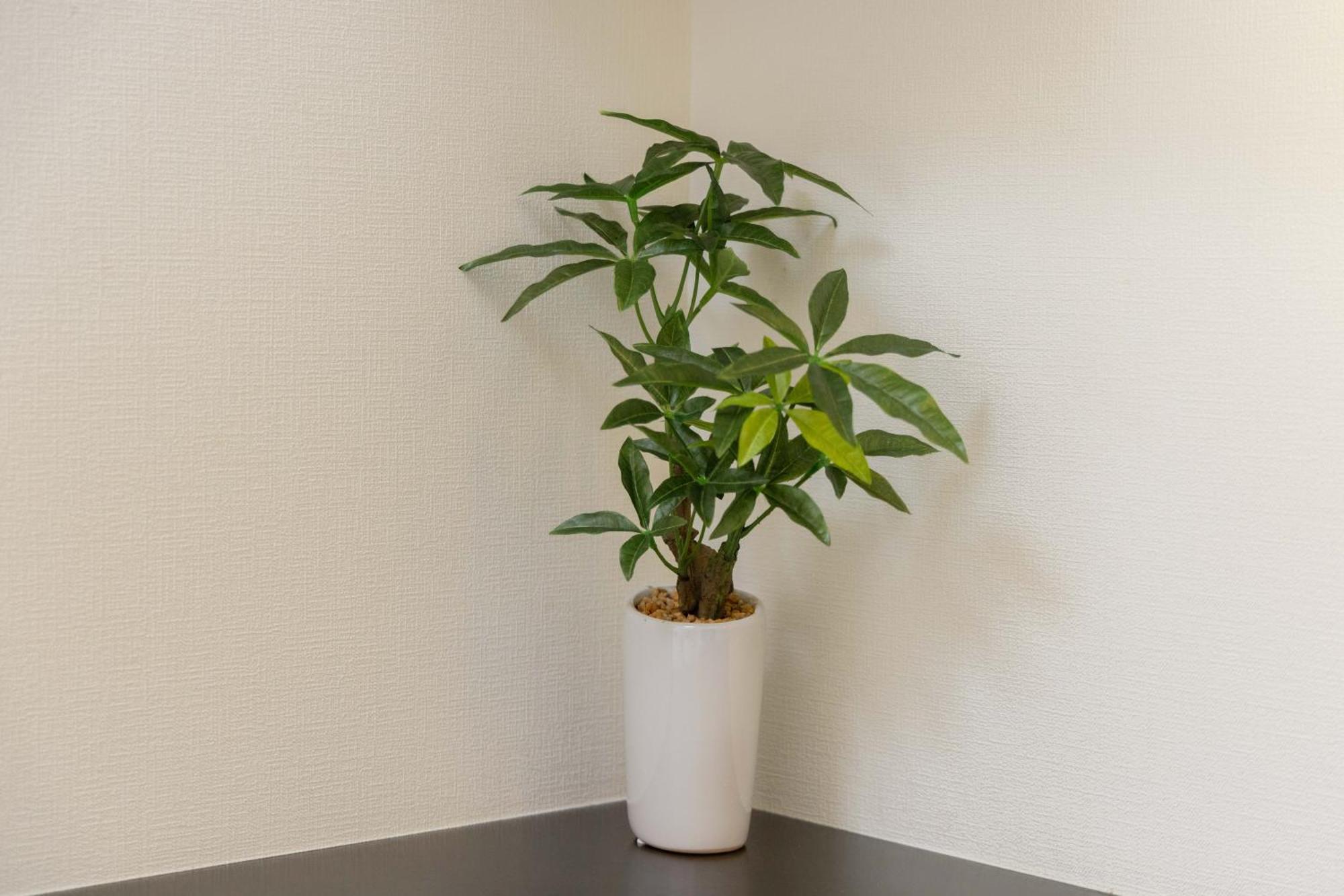 Apartamento Skytree View Kinshicho - Self Check-In Only Tokio Exterior foto